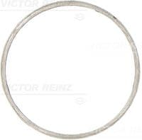 Blīve, Izplūdes kolektors