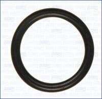 Blīve, Ieplūdes kolektors