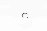 Blīve, Ieplūdes kolektors