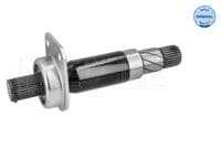 Piedziņas starpvārpsta