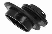 Cauruļvads, Eļļas ieliešanas kakliņš