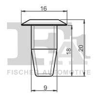 Moldings/aizsarguzlika