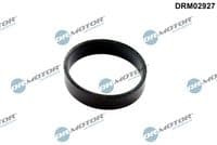 Blīvgredzens, ieplūdes gaisa caurule