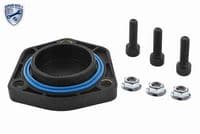 Blīve, Eļļas vācele