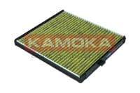 Filtrs, Salona telpas gaiss