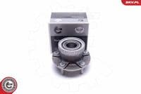 Riteņa rumbas gultņa komplekts