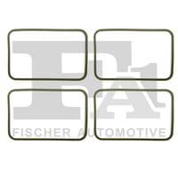 Blīve, Ieplūdes kolektors