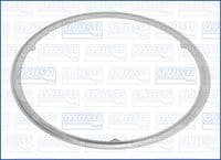 Blīve, Izplūdes caurule