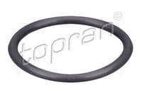 Blīvgredzens, dzesējošās vielas vads