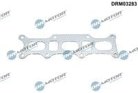 Blīve, Izplūdes kolektors