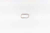 Blīve, Ieplūdes kolektors