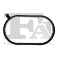 Blīve, Ieplūdes kolektors