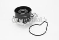 Ūdens sūknis, dzinēja dzesēšana