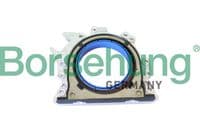 Vārpstas blīvgredzens, Kloķvārpsta