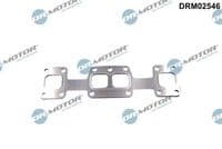 Blīve, Izplūdes kolektors