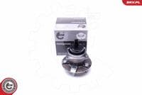 Riteņa rumbas gultņa komplekts