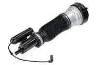 Pneimoatsperes statnis