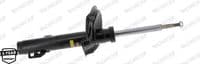 Amortizators