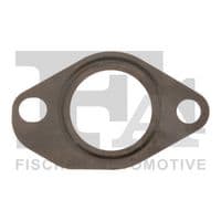 Blīve, EGR vārsta cauruļvads