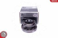 Riteņa rumbas gultņa komplekts