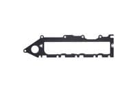 Blīve, Ieplūdes kolektors