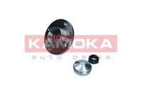 Riteņa rumbas gultņa komplekts