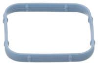 Blīve, Ieplūdes kolektors