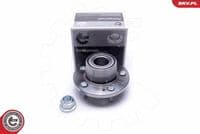 Riteņa rumbas gultņa komplekts