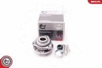 Riteņa rumbas gultņa komplekts