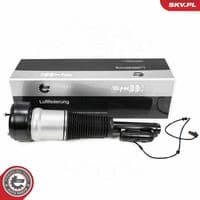 Pneimoatsperes statnis