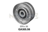 Parazīt-/Vadrullītis, Ķīļrievu siksna