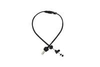 Trose, Sajūga pievads