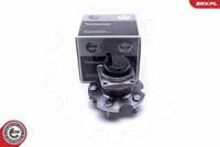 Riteņa rumbas gultņa komplekts