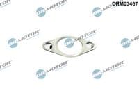 Blīve, Izplūdes gāzu recirkulācijas vārsts