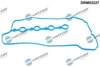 Blīve, Motora bloka galvas vāks