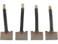 Ogļu sukas, Starteris