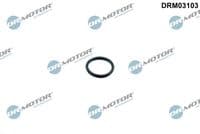 Blīve, Termostata korpuss