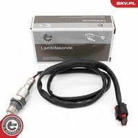 Lambda zonde