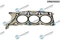 Blīve, Motora bloka galva