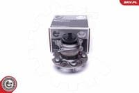 Riteņa rumbas gultņa komplekts