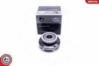 Riteņa rumbas gultņa komplekts