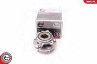 Riteņa rumbas gultņa komplekts