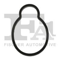 Blīve, Ieplūdes kolektors