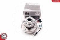 Riteņa rumbas gultņa komplekts