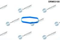 Blīve, Eļļas sūknis