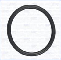 Blīve, Eļļas filtra korpuss