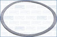 Blīve, Izplūdes caurule