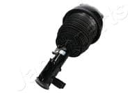 Pneimoatsperes statnis