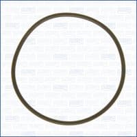 Blīve, Ieplūdes kolektors