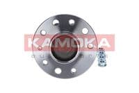 Riteņa rumbas gultņa komplekts